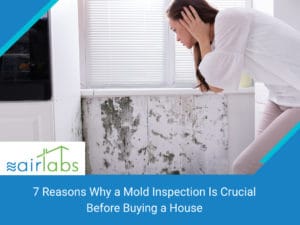 Woman watching mold in her house