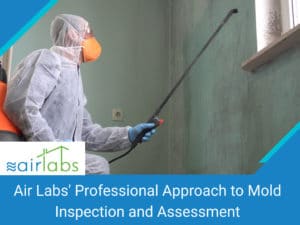Mold inspection specialist checking for mold using spray dispenser