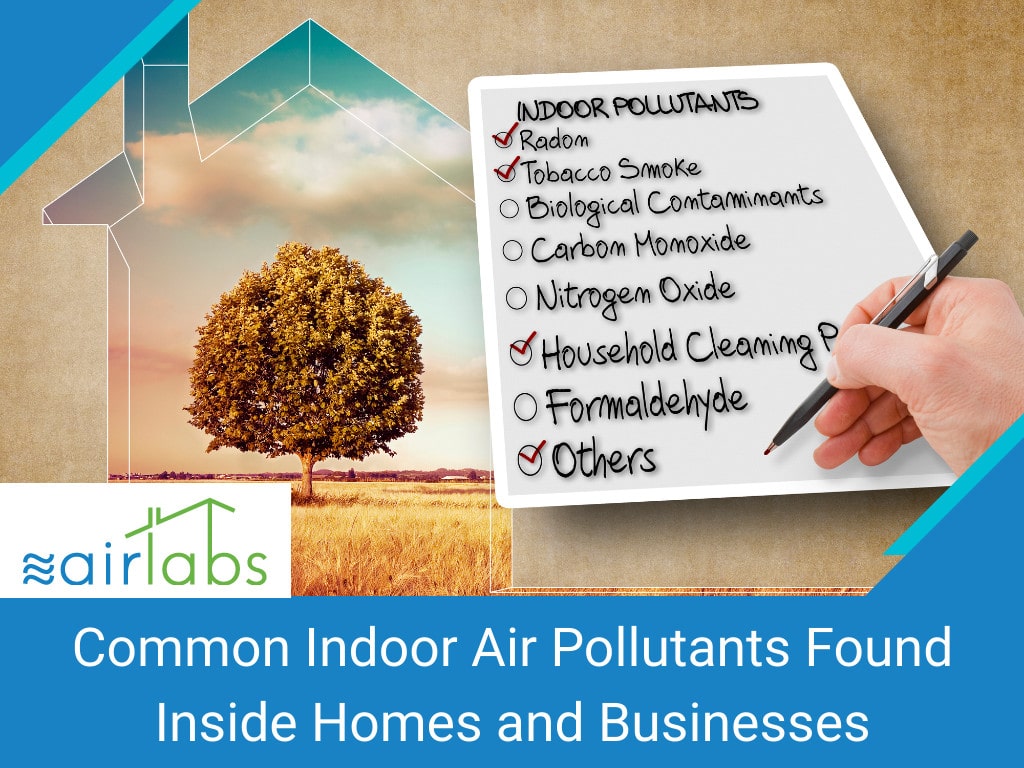 Hand write a check list of the most common dangerous domestic pollutants