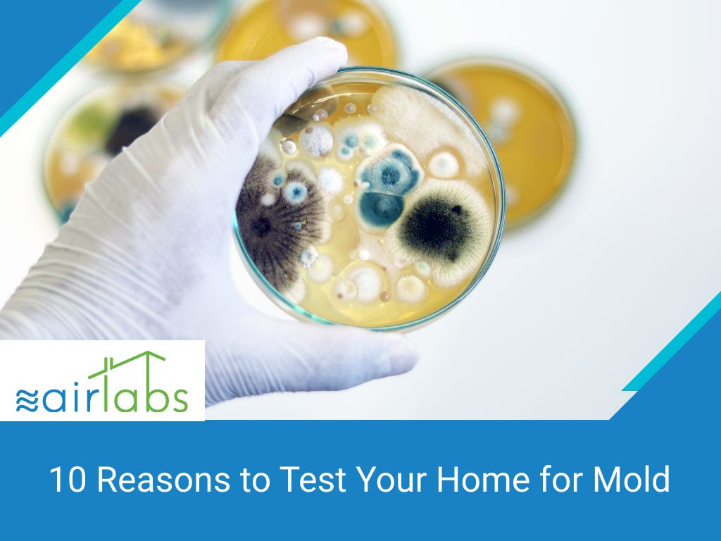 10 reasons test home mold